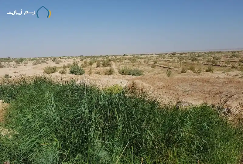  dry-najaf-sea