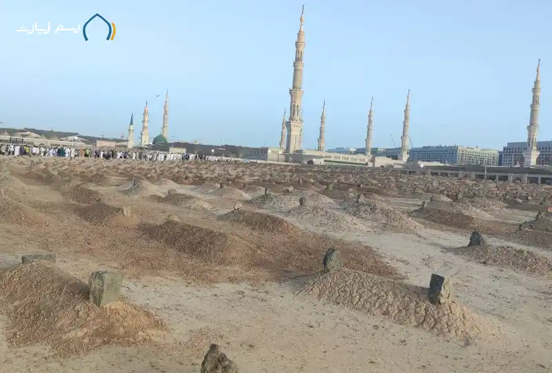  albaqie
