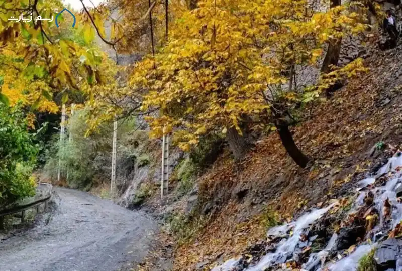 روستای زشک